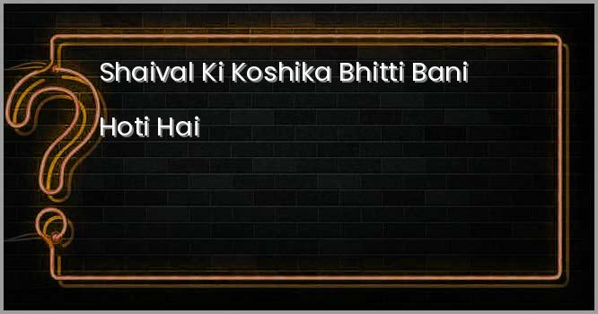 शैवाल की कोशिका भित्ति बनी होती है ?