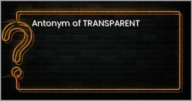 Antonym of TRANSPARENT