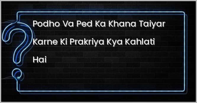 पोधो व पेड़ का खाना तैयार करने की प्रक्रिया क्या कहलाती है ?