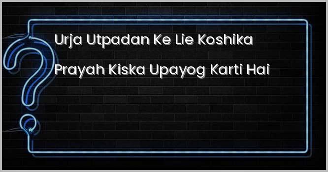 ऊर्जा उत्पादन के लिए कोशिका प्रायः किसका उपयोग करती है ?