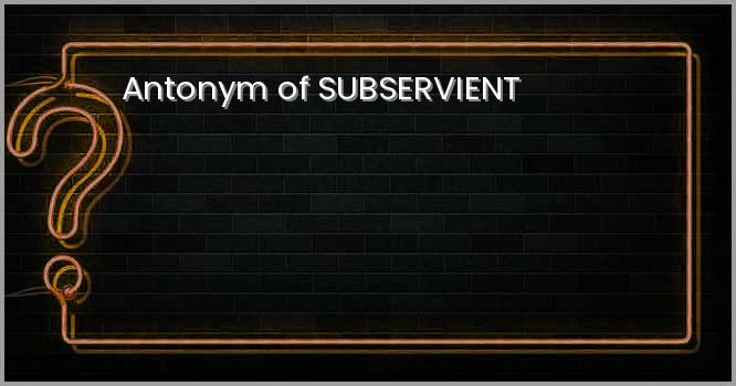 Antonym of SUBSERVIENT