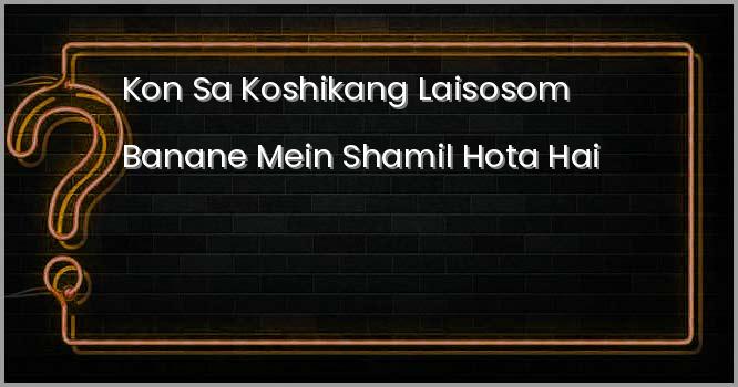 कौन सा कोशिकांग लाइसोसोम बनाने में शामिल होता है?
