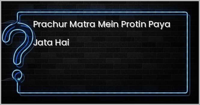 निम्न में से किसमें प्रचुर मात्रा में प्रोटीन पाया जाता है ?