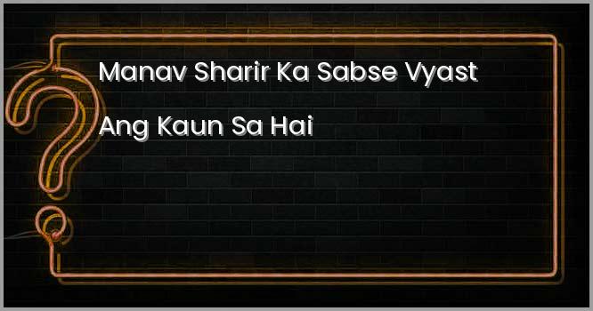 मानव शरीर का सबसे व्यस्त अंग कौन सा है ?
