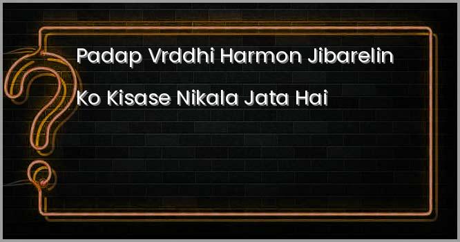 पादप वृद्धि हार्मोन जिबरेलिन को किससे निकाला जाता है ?